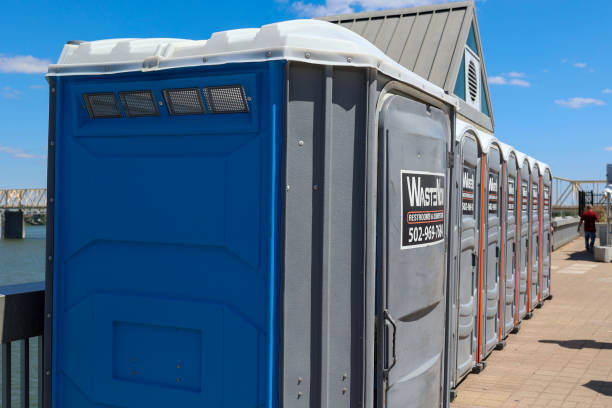 Best Tree Cabling and Bracing  in San Felipe Pueblo, NM